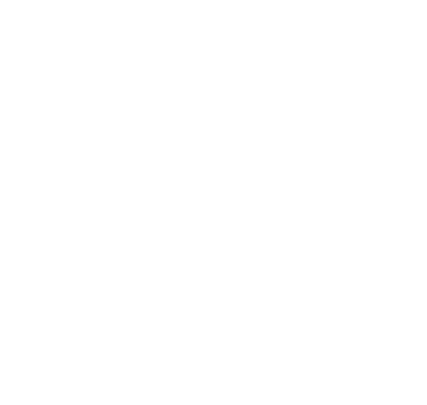 PHIJ Logo